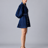 Sophia Shirt Dress