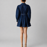 Sophia Shirt Dress